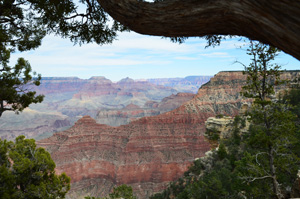 Nature Heals Grand Canyon