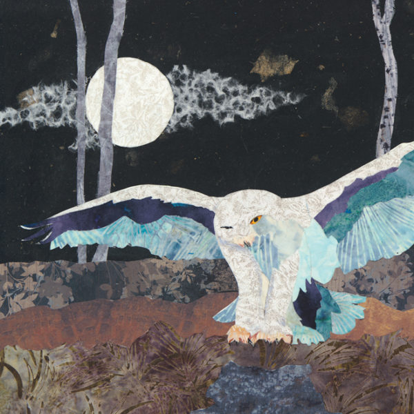 Night Owl Collage Sq