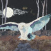 Night Owl Collage