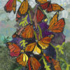 Colors of Monarch Art Print