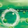 Circles of Life
