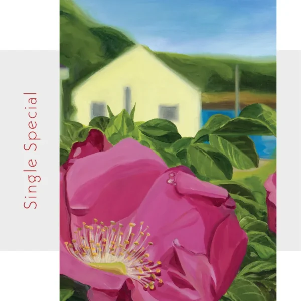 rosa rugosa note card