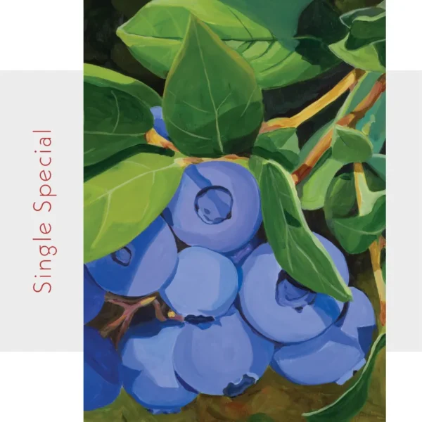 Blueberries Note Card