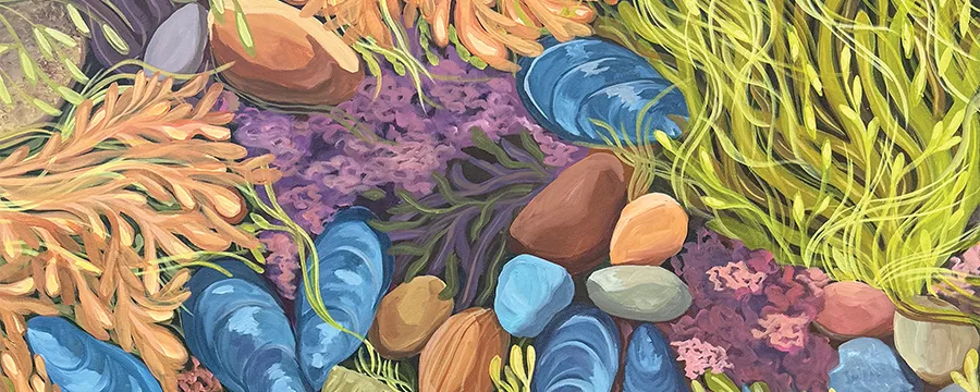 Sea Treasure Art Print by Catherine Breer, Cropped
